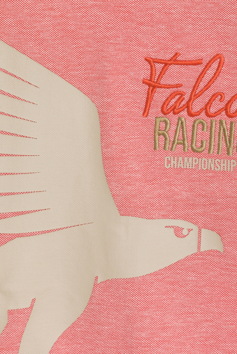 Boy's pink short-sleeve T-shirt with falcon motif 2