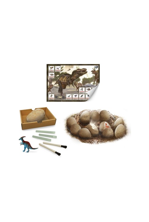 12 maxi oeufs dinosaures à déterrer Buki 2