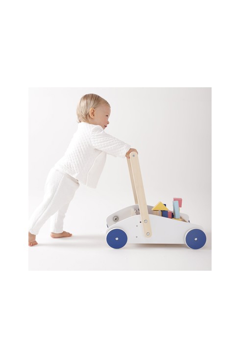 Chariot de marche et blocs de construction Oxybul 2