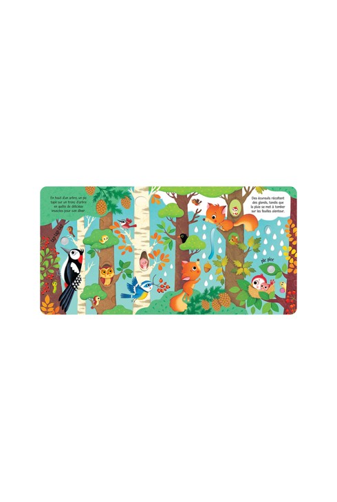 Livre Bruits de la forêt 2