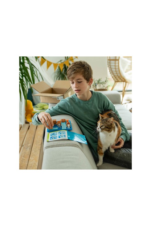 Chats tournent en rond, Smartgames 2