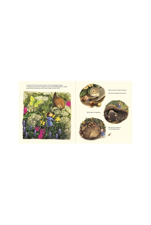 Livre La petite fée des bois 2