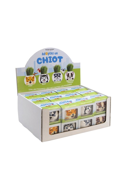 Tête en herbe à pousser Drôle de pots chiens 2