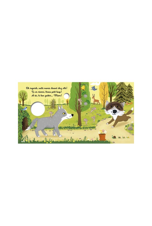 Livre Petit loup dans la forêt 2