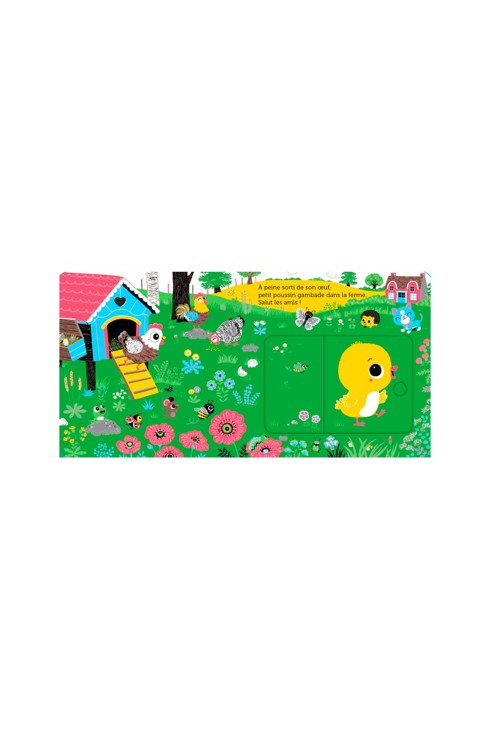 Livre Promenade petit poussin 2