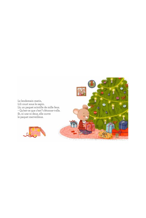 Livre Noël sous les flocons 2