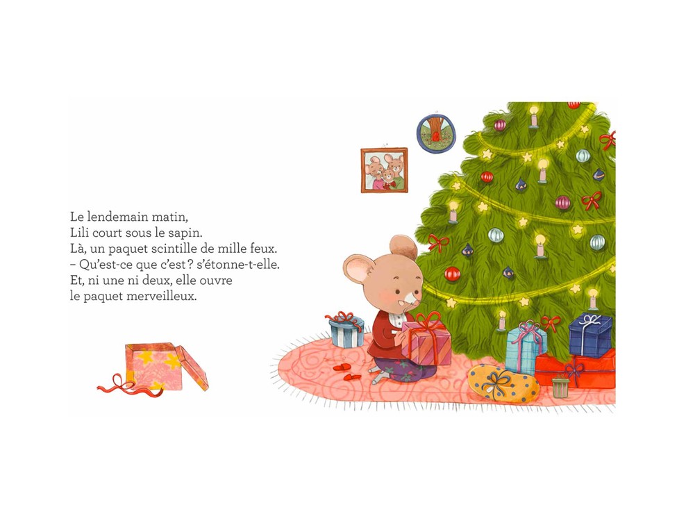 Livre Noël sous les flocons 2