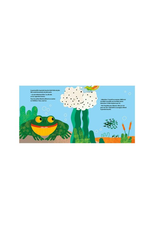 Livre la petite grenouille qui avait une grande bouche 2