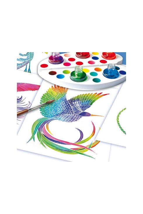 Aquarellum junior oiseaux de paradis Sentosphère 2