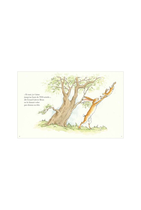 Livre Devine combien je t'aime - L'école des loisirs 2