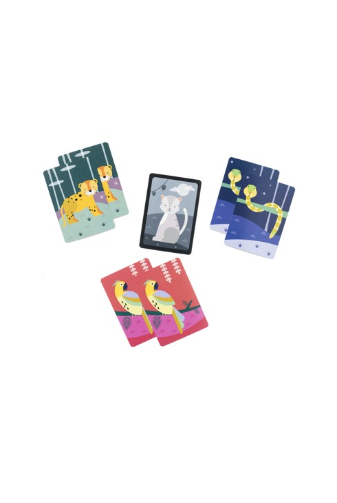 Jeu de cartes Chapristi Oxybul 2