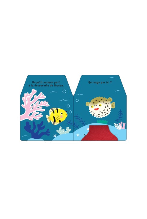 Livre Cache-cache petit poisson - Nathan Jeunesse 2