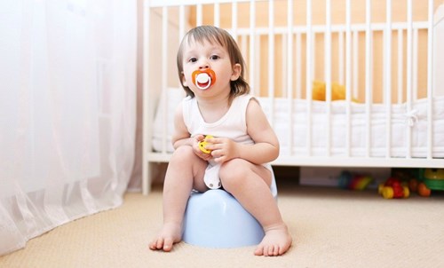 La propreté : c'est l'enfant qui décide... La propreté : c'est l'enfant qui décide...