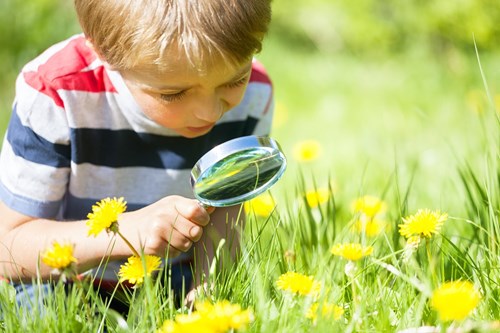 Mes astuces de maman pour faire découvrir la nature aux enfants