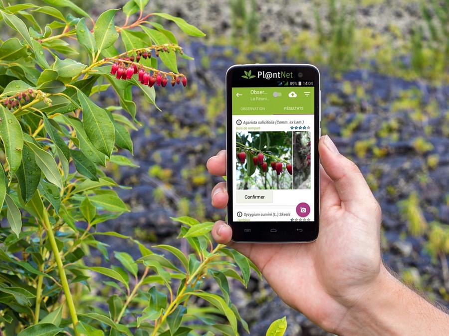 3 applis pour se rapprocher de la nature