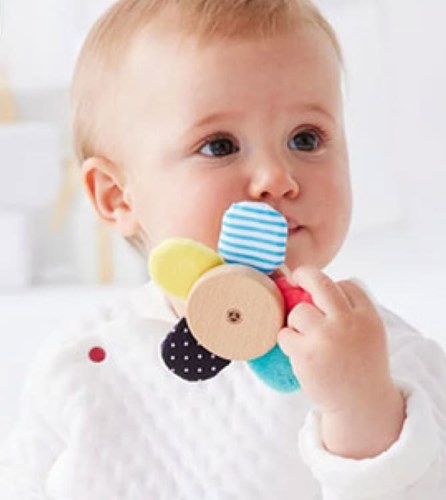 Nos bébés ont du talent - Bébé 6 mois - Un jeu une solution les hochets d'activités
