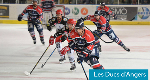 Les Ducs d'Angers