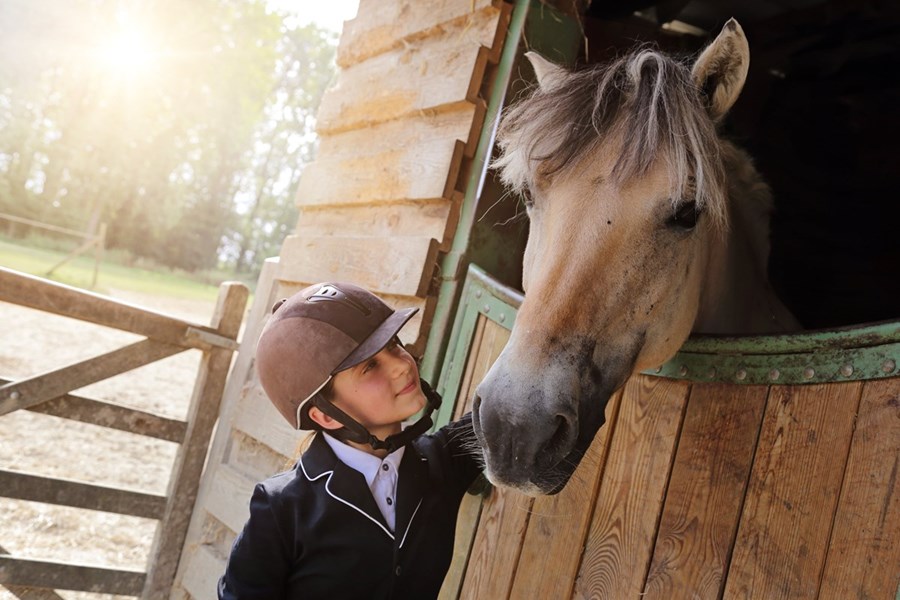 Les bienfaits de l'équitation