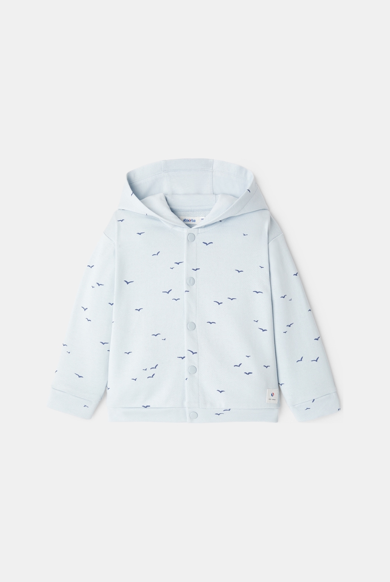 Sweat pressionné à capuche bleu bébé mixte 1