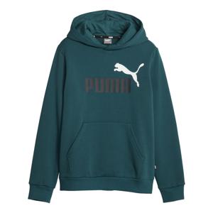 Sweat à capuche col big Logo, Puma 1