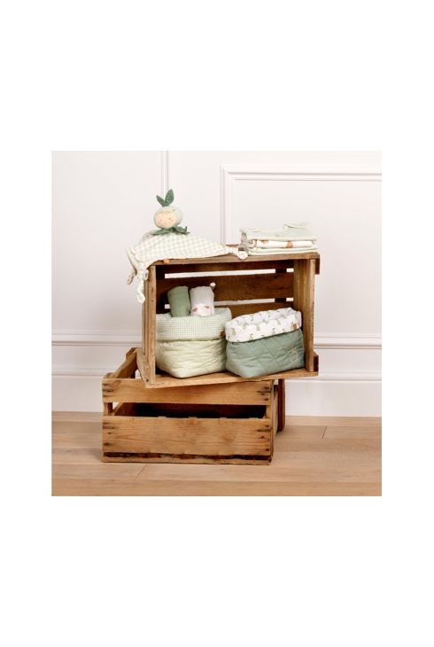 Lot de 2 panières en coton Vert tilleul