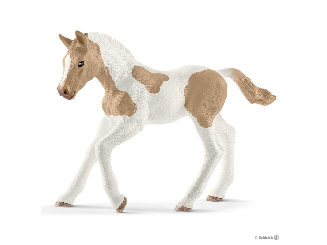 Schleich - Figurine poulain paint horse, Schleich - - Dès 3 ans