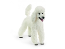 Figurine caniche, Schleich