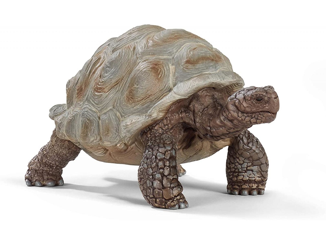 Figurine tortue géante, Schleich -