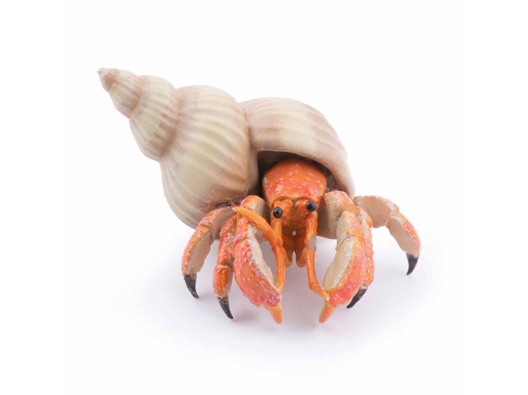 Figurine Bernard l'hermite -