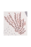 Tapis petits lamas 120x170cm ANDINO by MPA 4