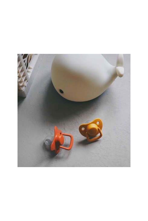 Lot de 2 sucettes anatomique en silicone 0-6m, Filibabba
