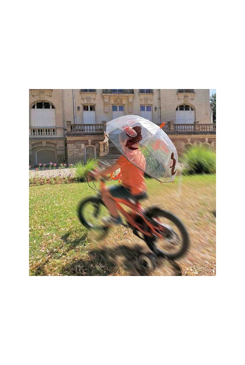 Parapluie transparent Dinosaure, Smati
