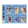 Jeux de cartes top dogs, Djeco