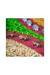 Bouteille sensorielle Spy  forêt, Petit Boum 4