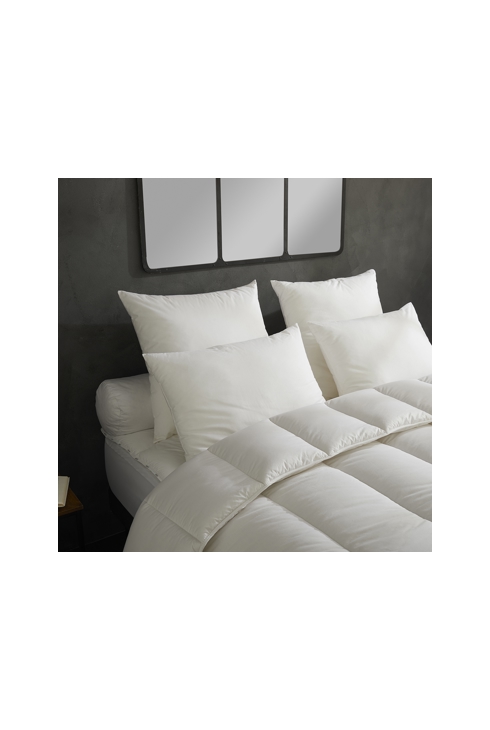 Lot de 2 oreillers Micro Douceur moelleux, Dodo