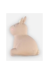 Jouet de bain lapin avec hochet en caoutchouc naturel, Noukie's 3