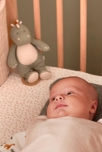 Peluche Mini Musicale Stegi En Mousseline Bio, Eucalyptus, Noukie's 4