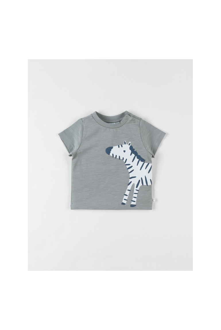 T-shirt Zèbre à Courtes Manches, Eucalyptus, Noukie's 1
