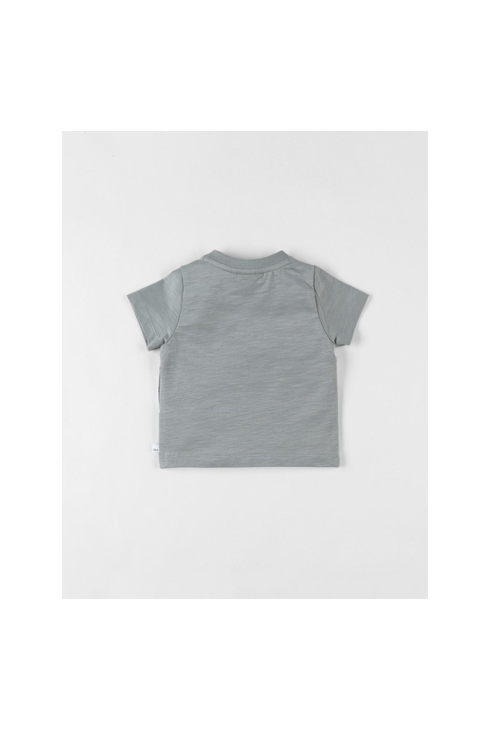 T-shirt Zèbre à Courtes Manches, Eucalyptus, Noukie's