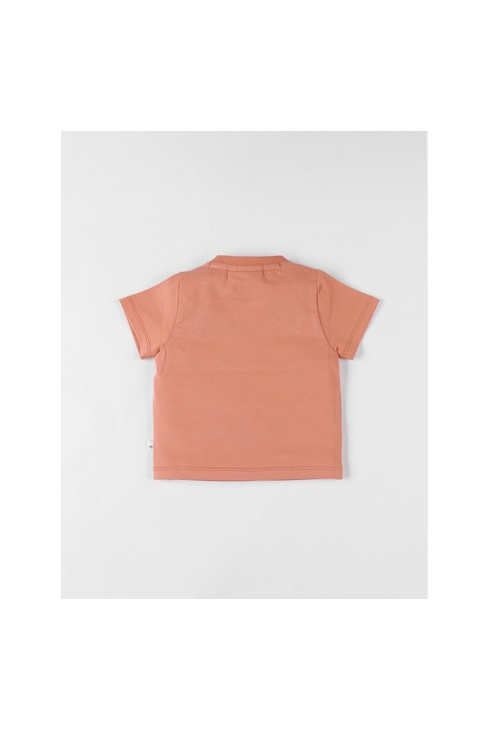 T-shirt Lion à Courtes Manches, Terracotta, Noukie's