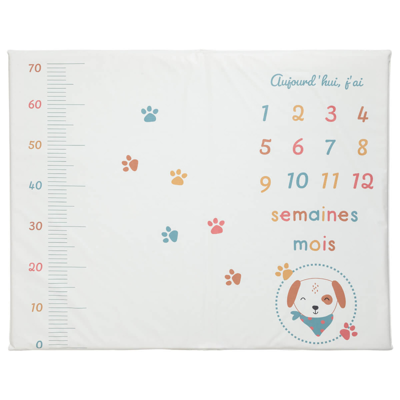 Baby Calin - Tapis de jeu en PVC 72x92 cm avec étapes bébé Toutou, Babycalin - - Dès la naissance