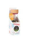 Bouteille sensorielle  learn légumes, Petit Boum 2