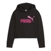 Sweat à capuche Ess 2 couleur logo, Puma