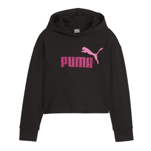 Sweat à capuche Ess 2 couleur logo, Puma 1