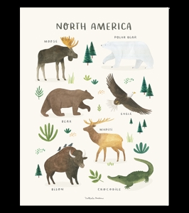 Affiche seule animaux Amérqiue du nord Living earth 30x40 cm, Lilipinso 1