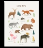 Affiche seule animaux d'Europe Living earth 30x40 cm, Lilipinso