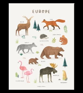 Affiche seule animaux d'Europe Living earth 30x40 cm, Lilipinso 1