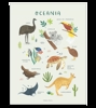 Affiche seule animaux de l'Océanie Living earth 30x40 cm, Lilipinso