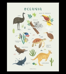 Affiche seule animaux de l'Océanie Living earth 30x40 cm, Lilipinso 1