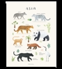 Affiche seule animaux d'Asie Living earth 30x40 cm, Lilipinso